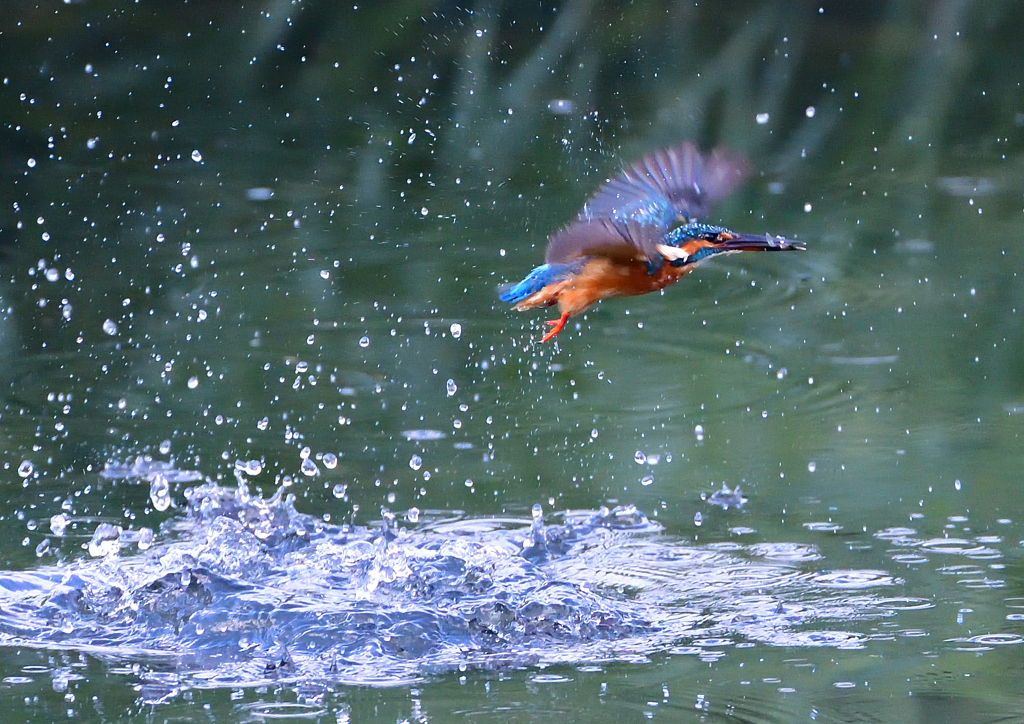 いつもの公園で　９/８❶