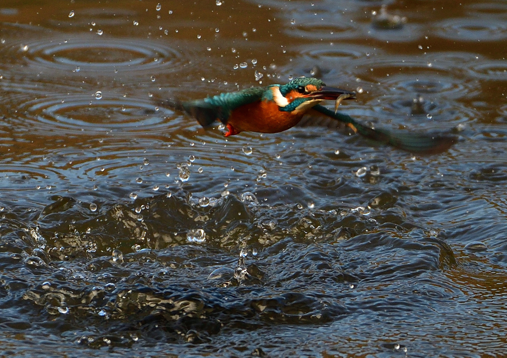 いつもの公園で　１１/３０❸