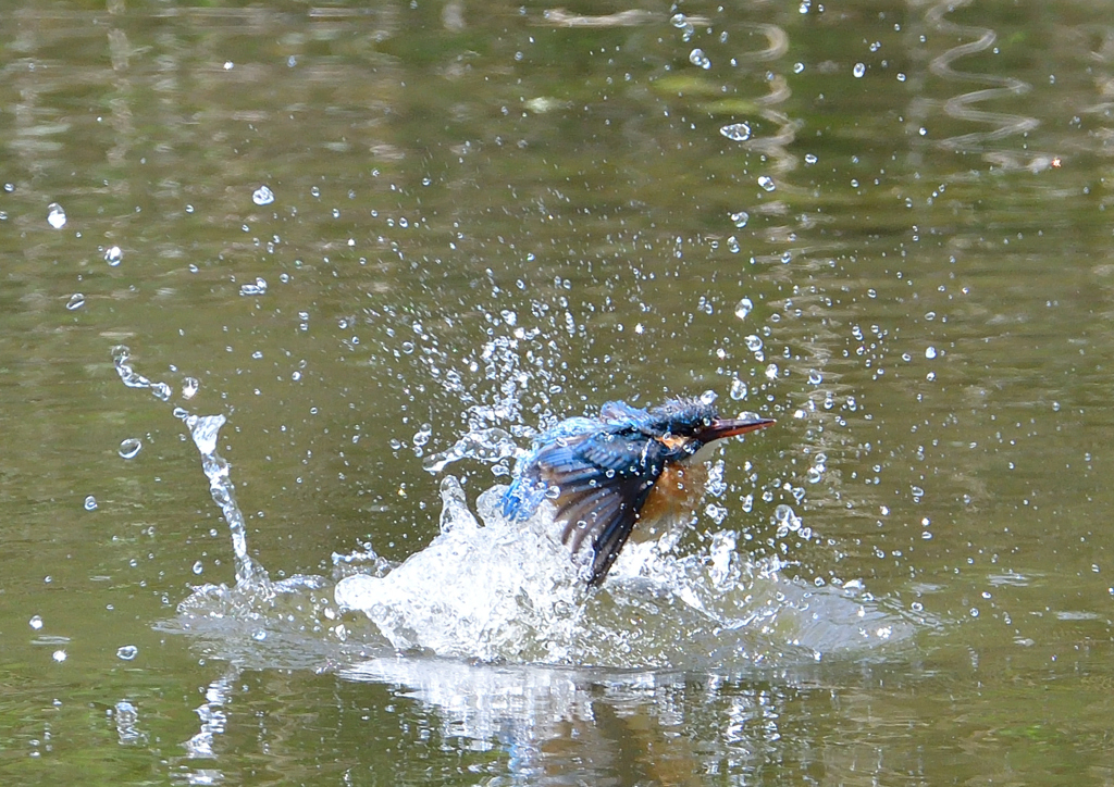 水飛沫　５/５❹