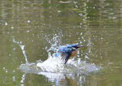 水飛沫　５/５❹