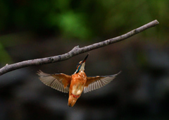 いつもの公園で　９/８❻