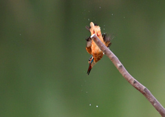 いつもの公園で　９/１９❹