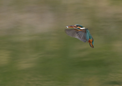 _190317_085407 DSC_7960