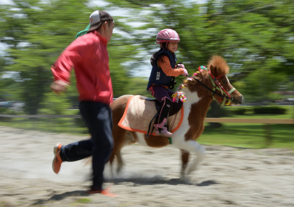   いなべ草競馬③