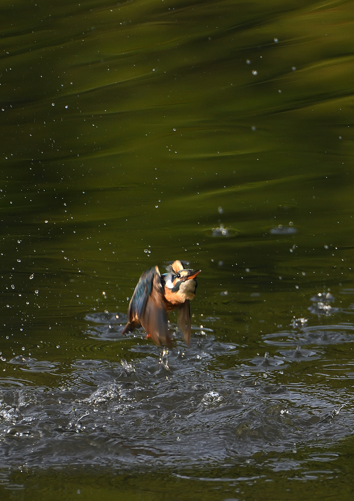 水飛沫　９/９❺