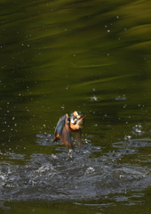 水飛沫　９/９❺