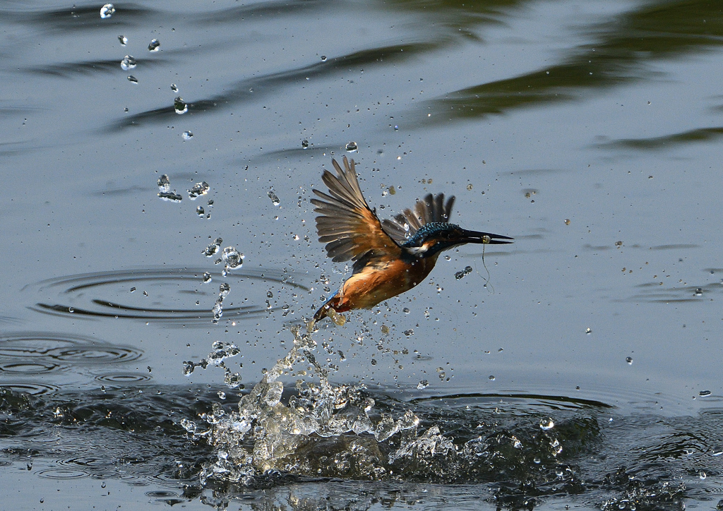 水飛沫　９/９❶