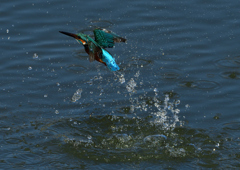 ダイブ　３/２３❼