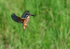 ホバリング　８/１０❸