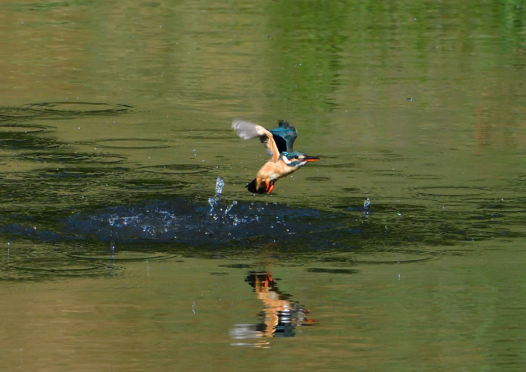 水飛沫　５/１４❷