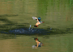 水飛沫　５/１４❷