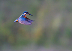 いつもの公園で　１０/１５❷