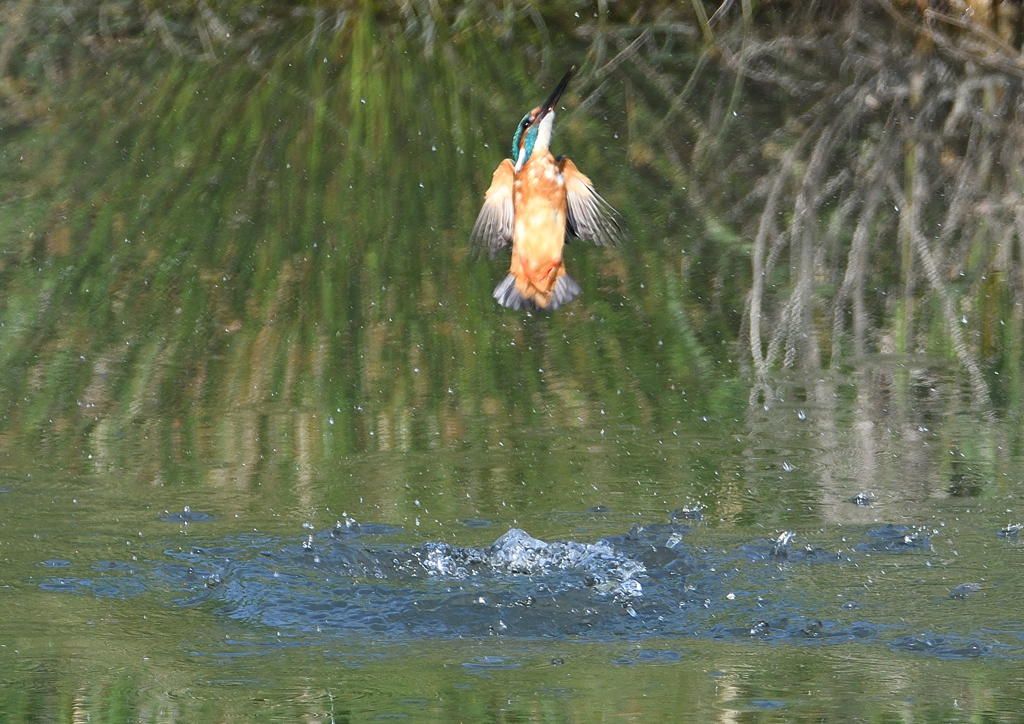 ダイブ　５/１０❷