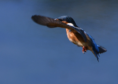 緩急自在　９/３❸