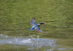 水飛沫　４/２９❽