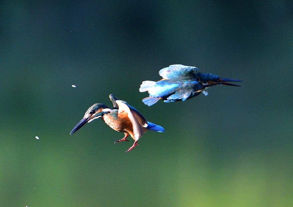 いつもの公園で　８/１６❽