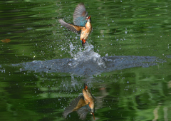 水飛沫　５/１７❷