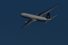 中部国際空港　１２/１４❸