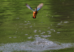 ダイブ　５/１２❼