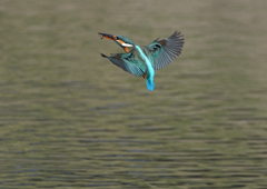 _190226_102120 DSC_2457