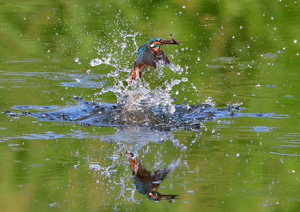 いつもの公園で　９/１２❷