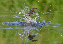 いつもの公園で　９/１２❷