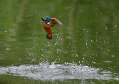 水飛沫　５/９❺