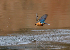 いつもの公園で　1／5❾