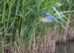 ホバリング　５/９❶