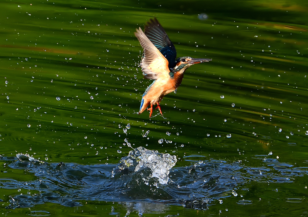 いつもの公園で　８/１４❷