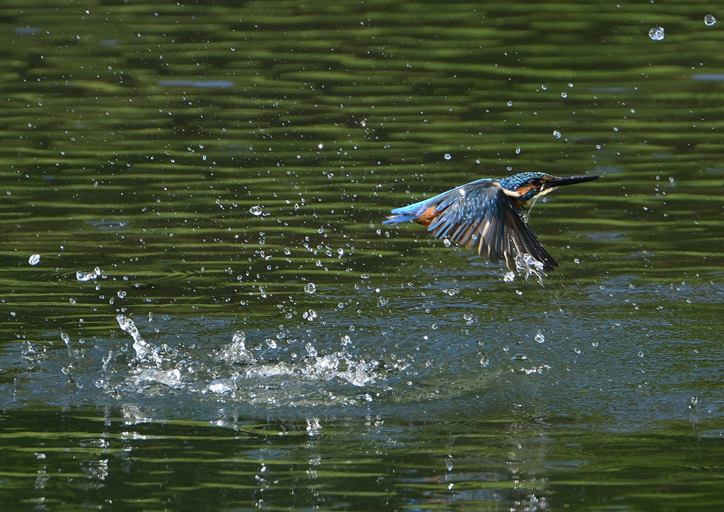 水飛沫　９/１２❼