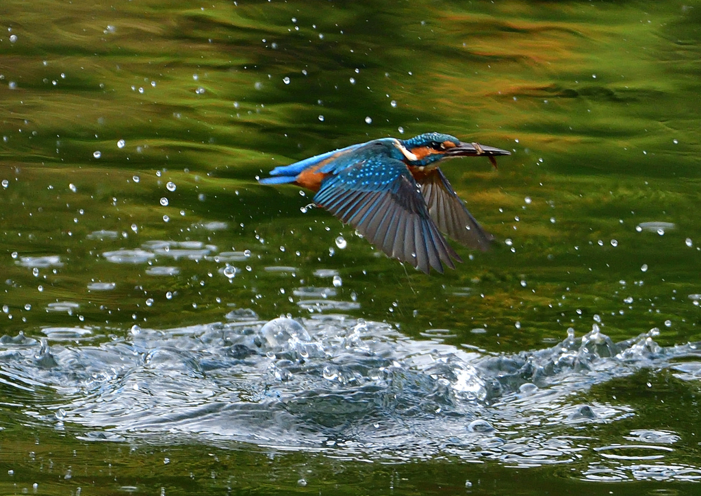いつもの公園で　１０/６❶