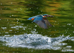 いつもの公園で　１０/６❶