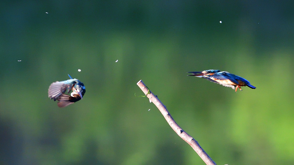 いつもの公園で　８/１６➓