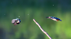 いつもの公園で　８/１６➓