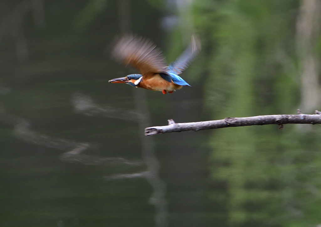 テイクアウト　５/１２