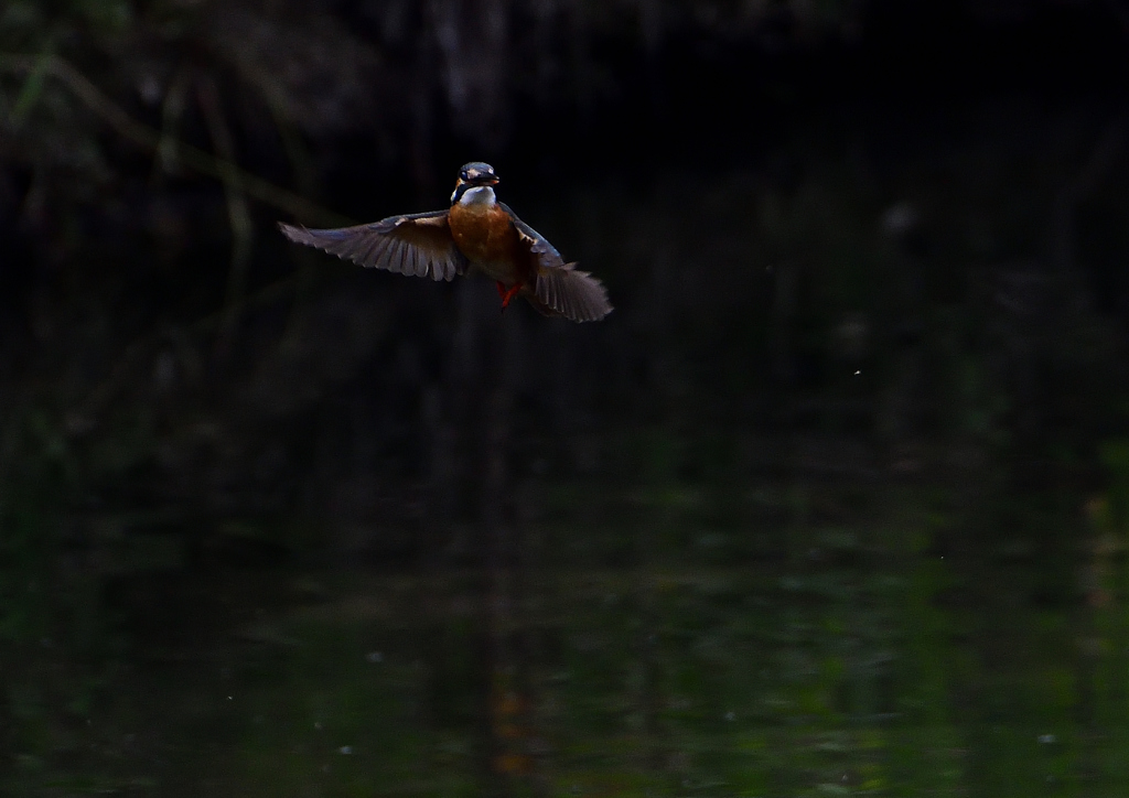 ホバリング　６/２❸