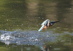 _190906_071644 DSC_8789