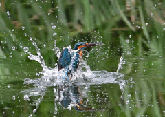 いつもの公園で　９/２４❷