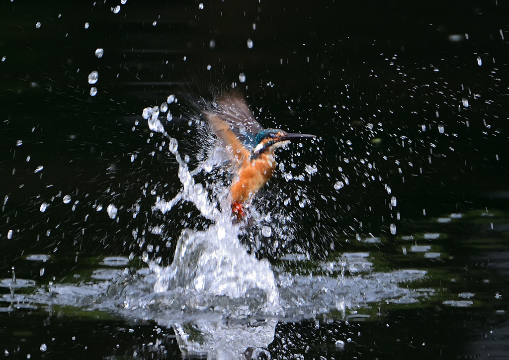 ダイブ　７/１８❷
