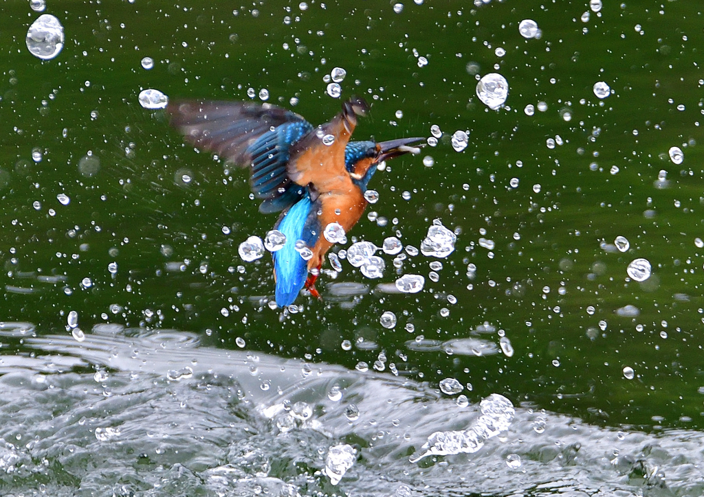 いつもの公園で　９/２４❹