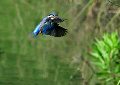 いつもの公園で　８/１６⓭