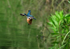 いつもの公園で　８/１６⓯
