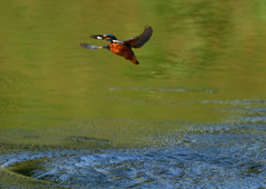 いつもの公園で　９/２１❷