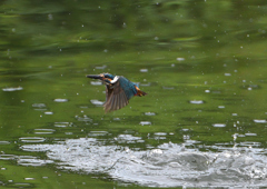 ダイブ　７/１８❺