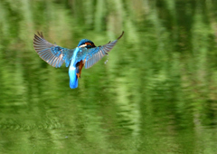 いつもの公園で　９/２６❽