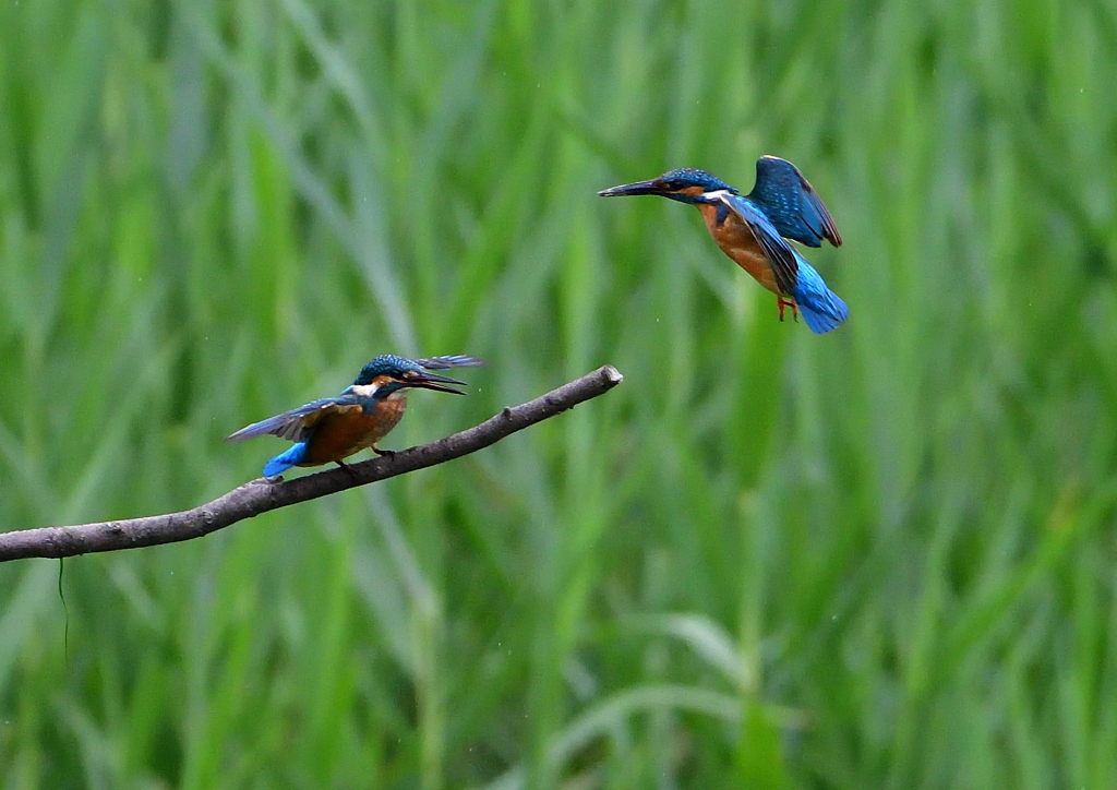 親子で・・・・　７/１３①