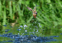 いつもの公園で　８/３１❻