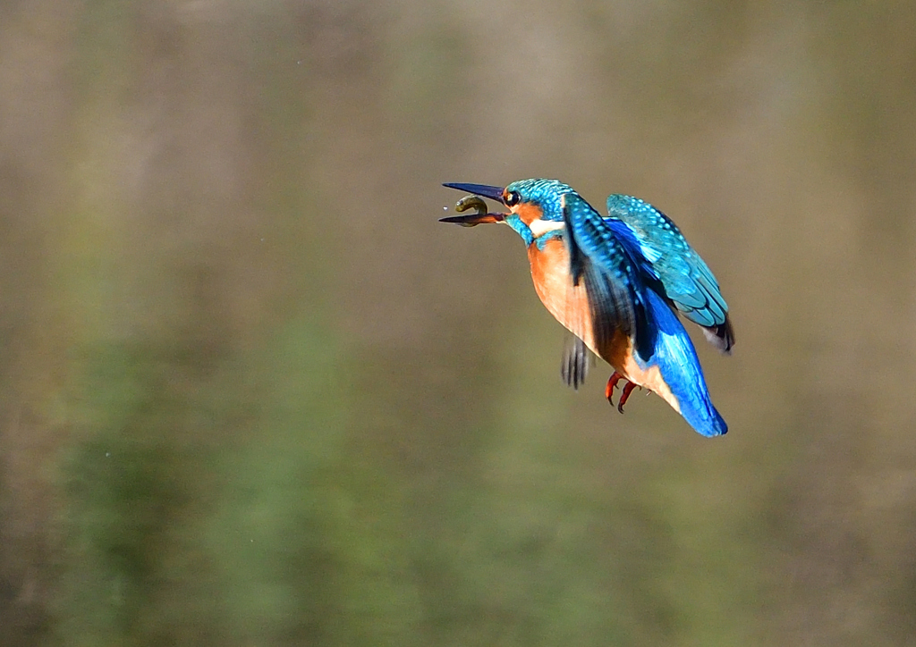 いつもの公園で　１２/３❹