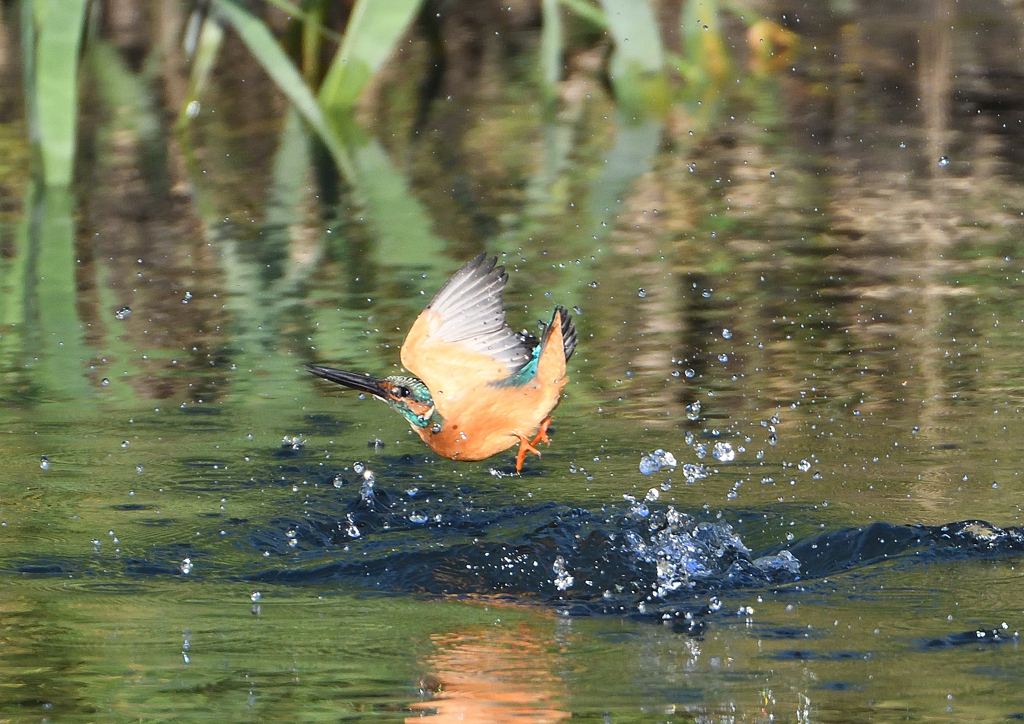 _191009_071318 DSC_8902